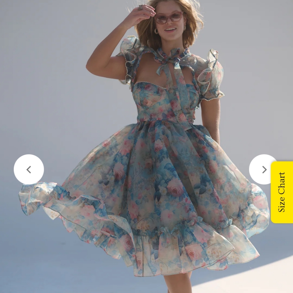 Selkie - The Chateau Paper Lovebird Dress - New With Tags